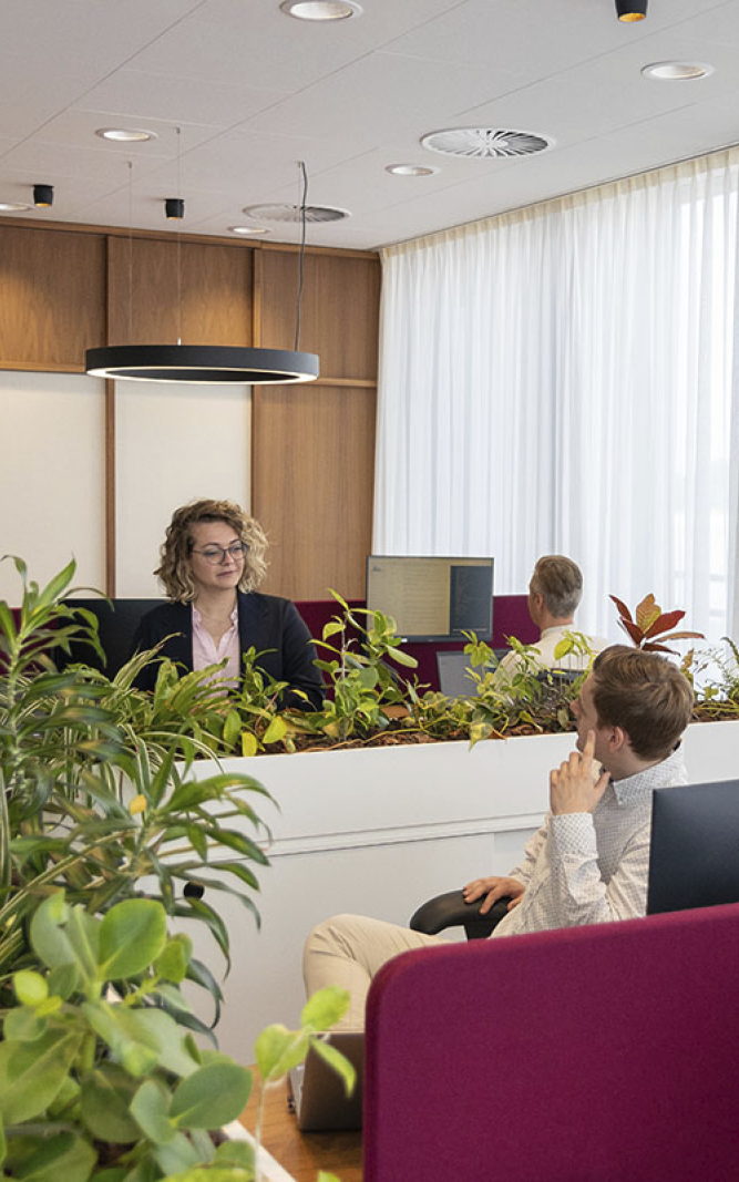 Zakelijk Logistic Documents Fotografie